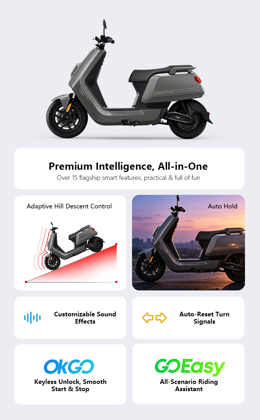 DiYo Grey High-Performance Electric Commuter Scooter